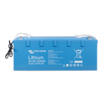 Victron LiFePO4 Batterie 25