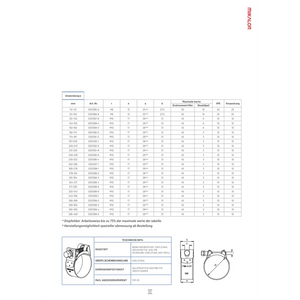 BUKH PRO Supra Schlauchschelle 29 - 31 mm - W5