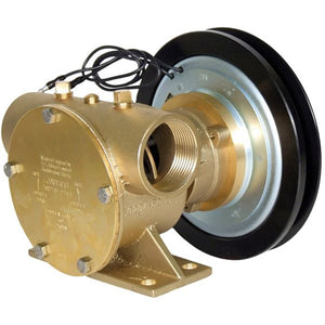 Jabsco Impellerpumpe mit Magnetkupplung 200 1b 12V (50200-2211)