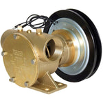 Jabsco Impellerpumpe mit Magnetkupplung 200 1b 24V (50200-2311)