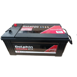 Dolphin PRO Marine Batterie - 225Ah 12V