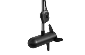 Garmin Panoptix-Geber PS22-TR