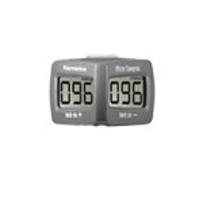 Raymarine Micro Compass