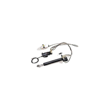 Raymarine Typ 2