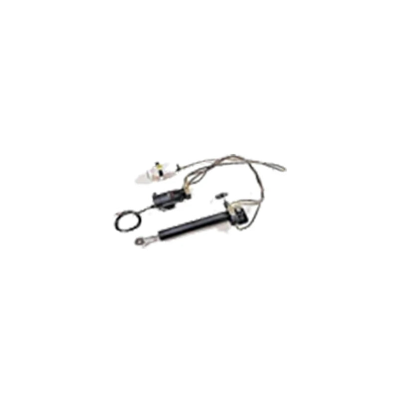 Raymarine Typ 2