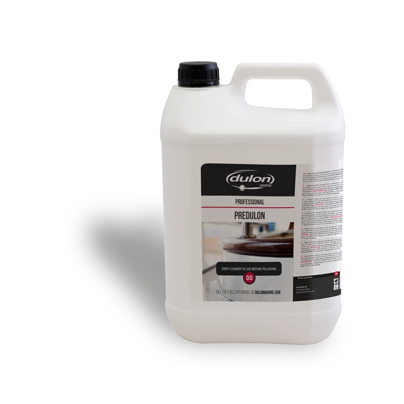 Dulon 00 Predulon Tiefenreiniger (5 L)