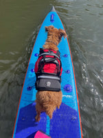 Crewsaver Petfloat Hundeschwimmhilfe – Rettungsweste für Hunde