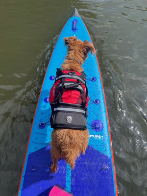 Crewsaver Petfloat Hundeschwimmhilfe – Rettungsweste für Hunde