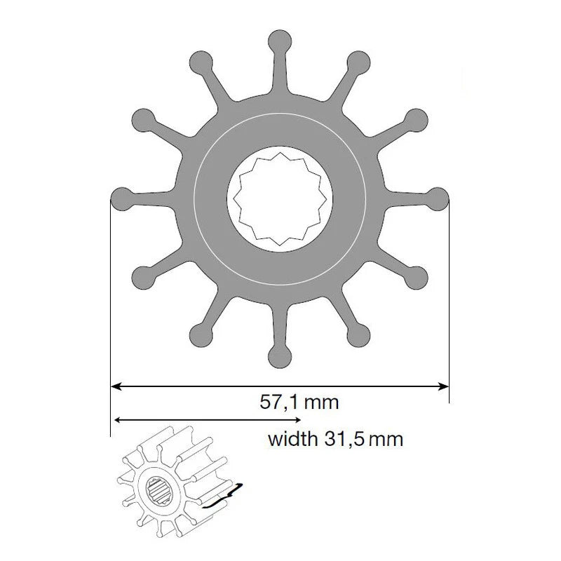 Johnson Impeller für F5 Pumpe