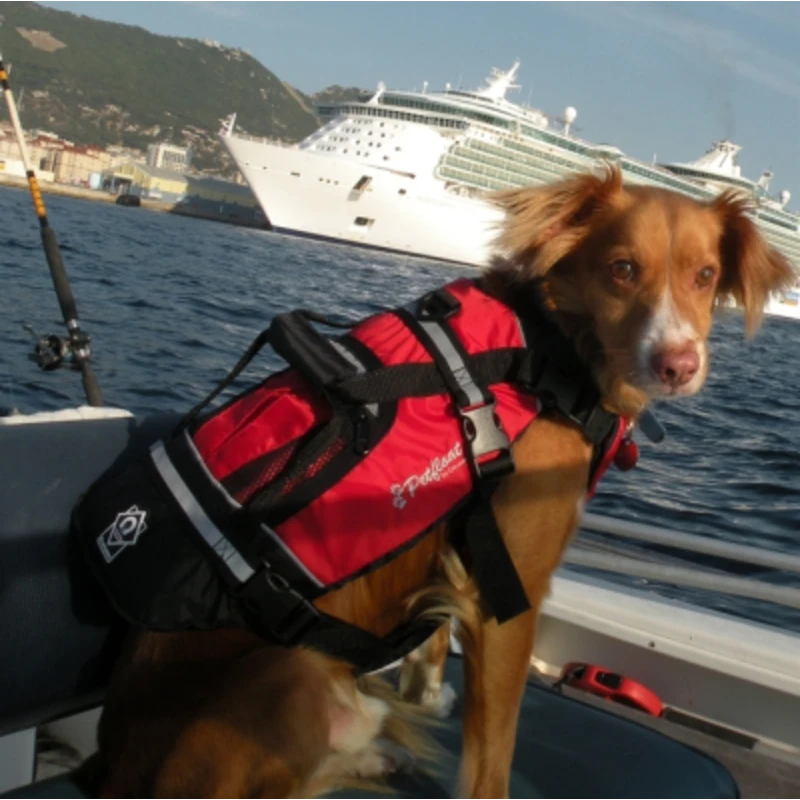 Crewsaver Crewsaver Hundeweste Größe M 2370-M