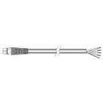 Raymarine STNG Spur-Kabel offen