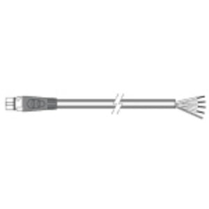 Raymarine STNG Spur-Kabel offen