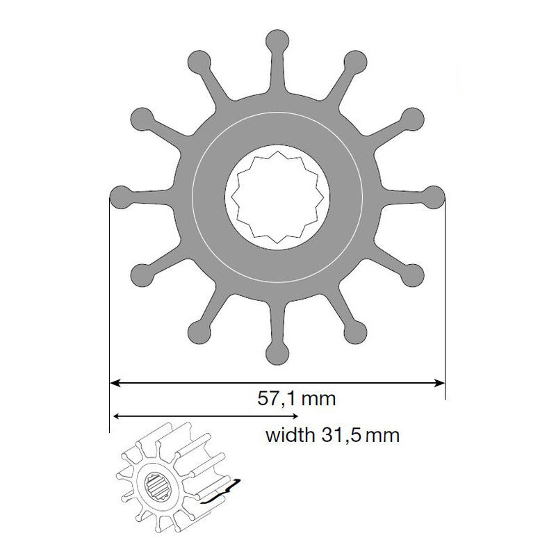 Johnson Impeller für F5 Pumpe