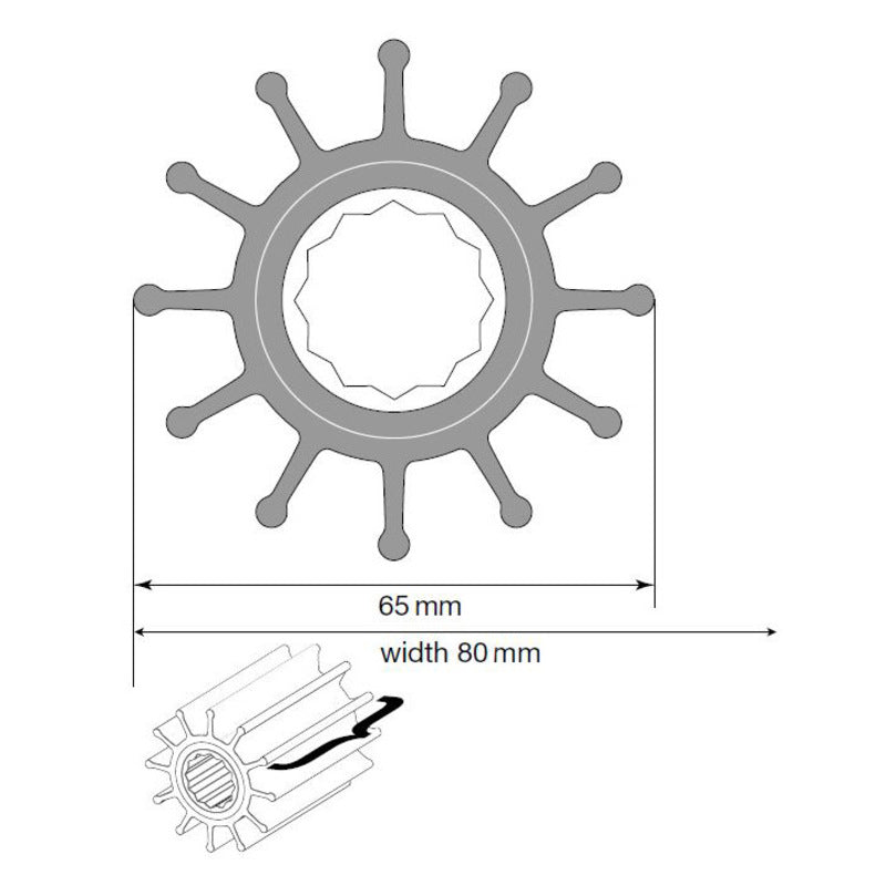 Johnson Impeller für F75 Pumpe