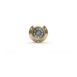 Lumishore EOS SMX154 LED-Unterwasserlicht – RGBW Full Color