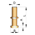 Vetus