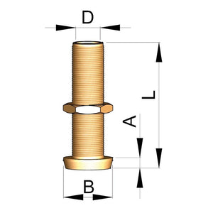 Vetus