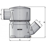 Vetus