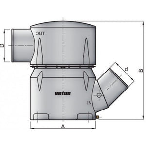 Vetus