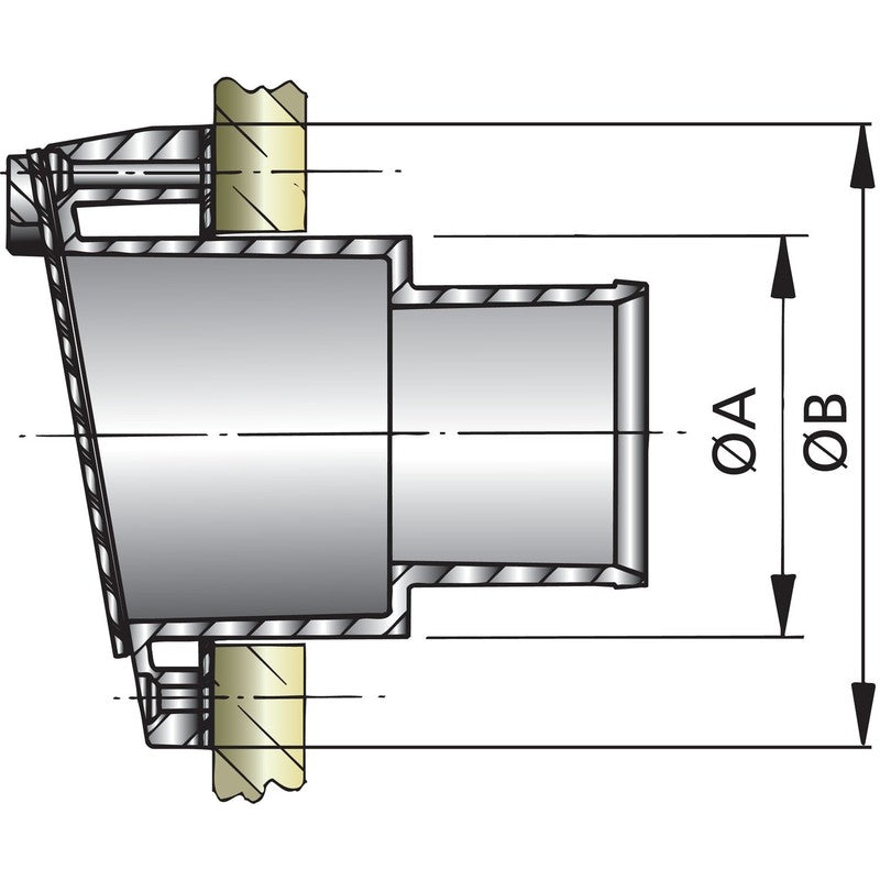 Vetus