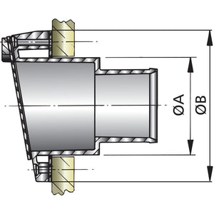 Vetus