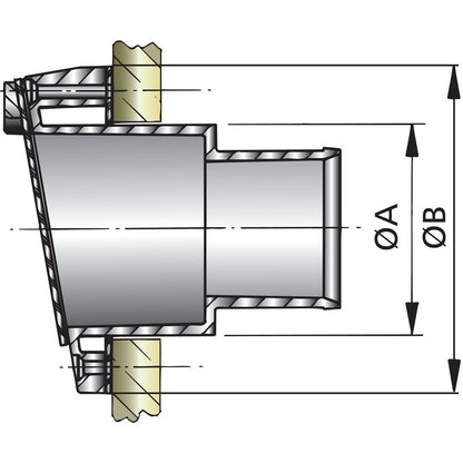 Vetus